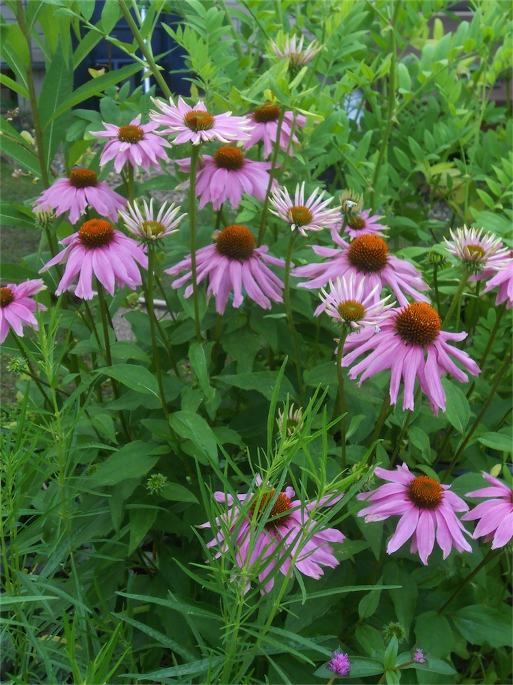 DSCN2873.jpg