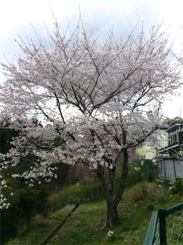 100_0754.jpg