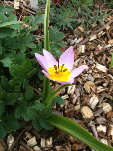 100_0784.jpg