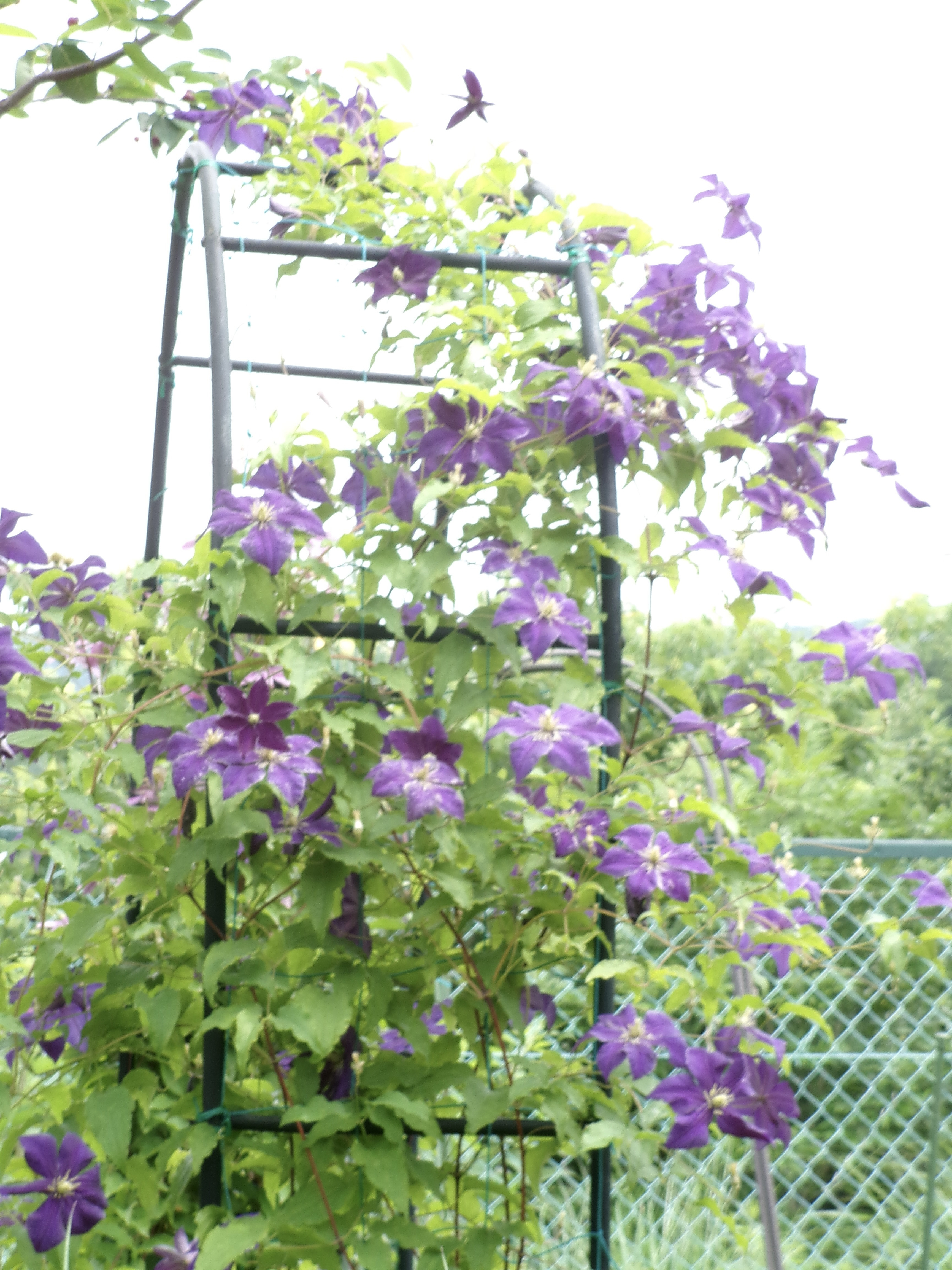 100_1014.JPG