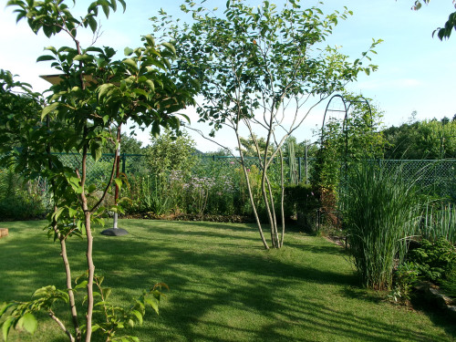 100_1060.JPG