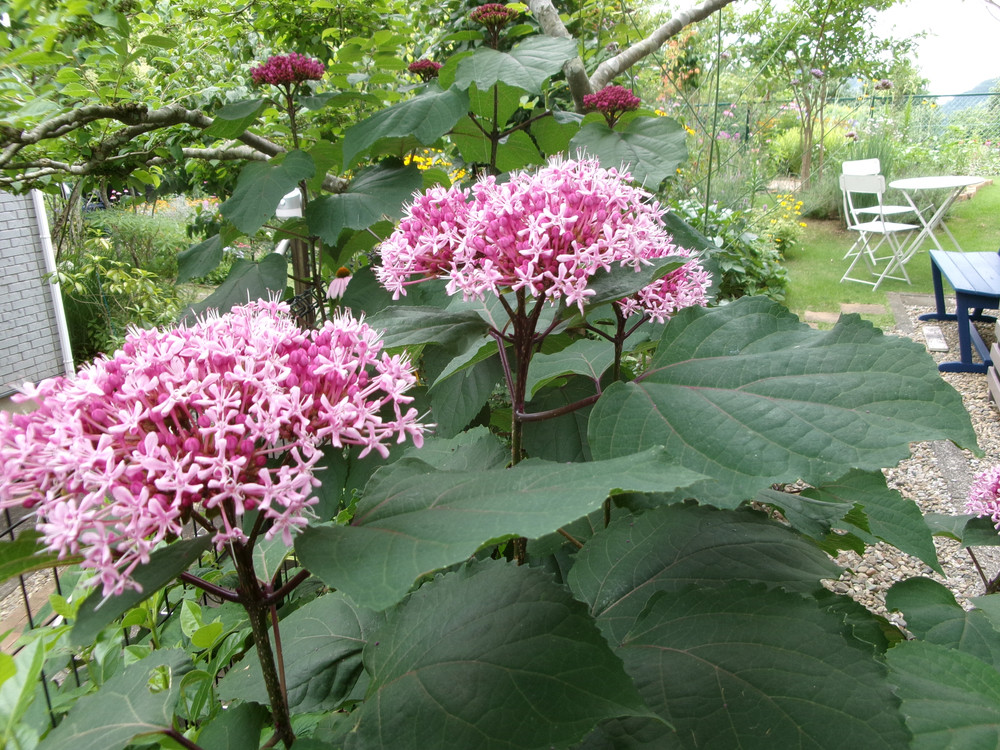 100_1102.JPG