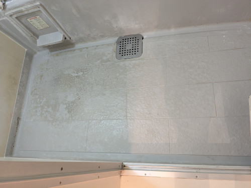 PXL_20250829_225957134.jpg