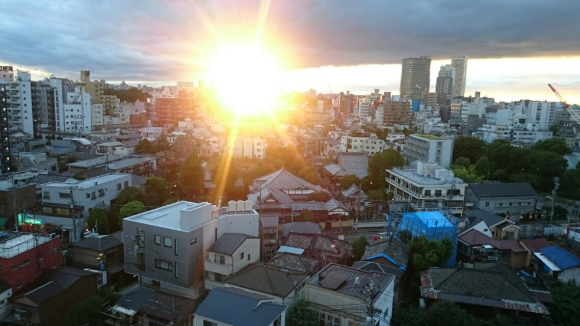 サロンから見える景色は都会だけど、夕日がきれい