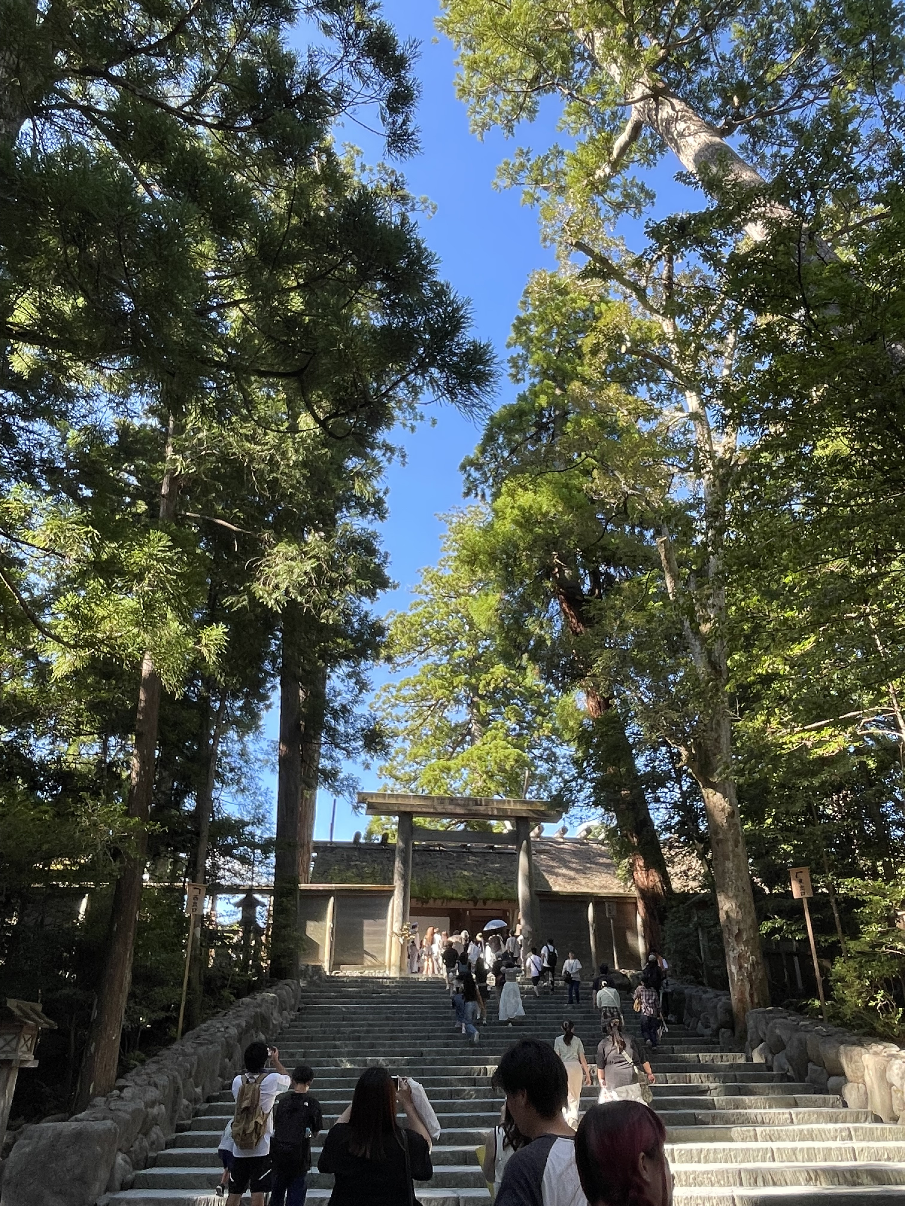 IMG_7345.jpeg