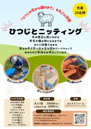 丸ごと体験 (1).png