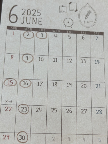 ６月定休日🗓️