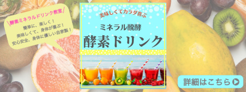 酵素バナー吹き出しあり.jpg
