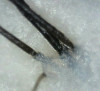 _20180307_194402.JPG