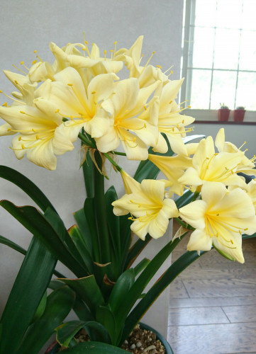 _20190508_172021.JPG