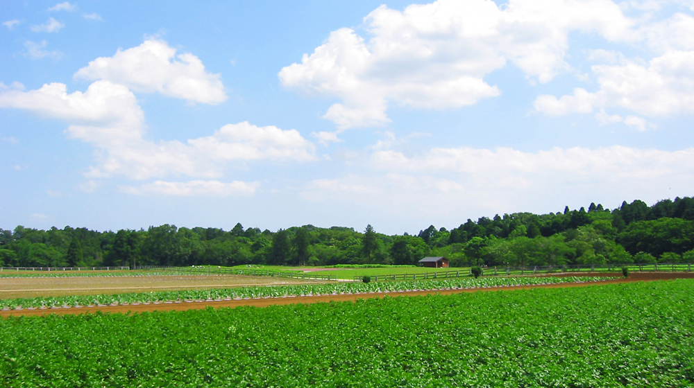㈱常総農興は茨城県阿見町にある農業資材の製造・販売会社です。