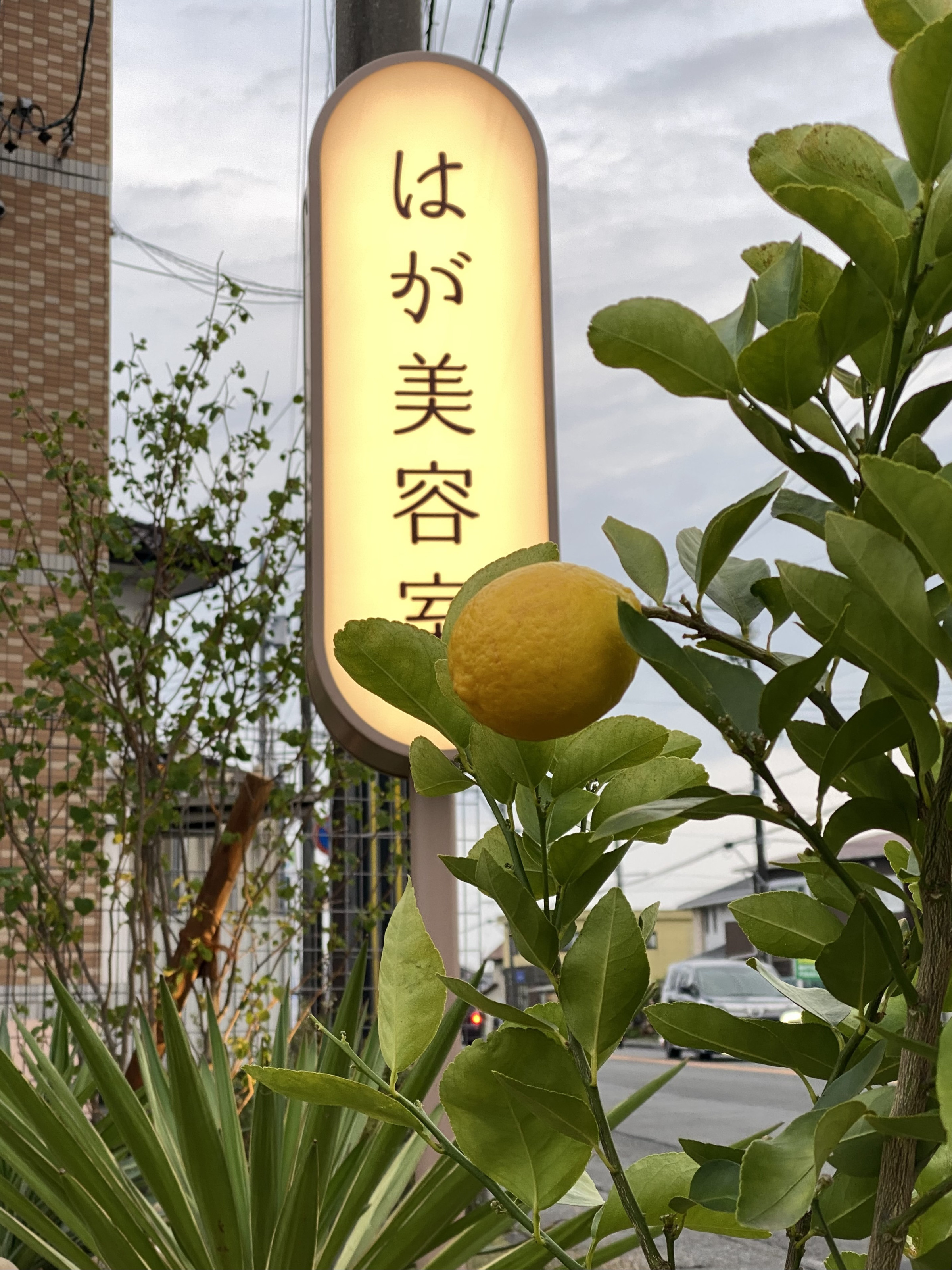 事前予約の方を優先させていただきます