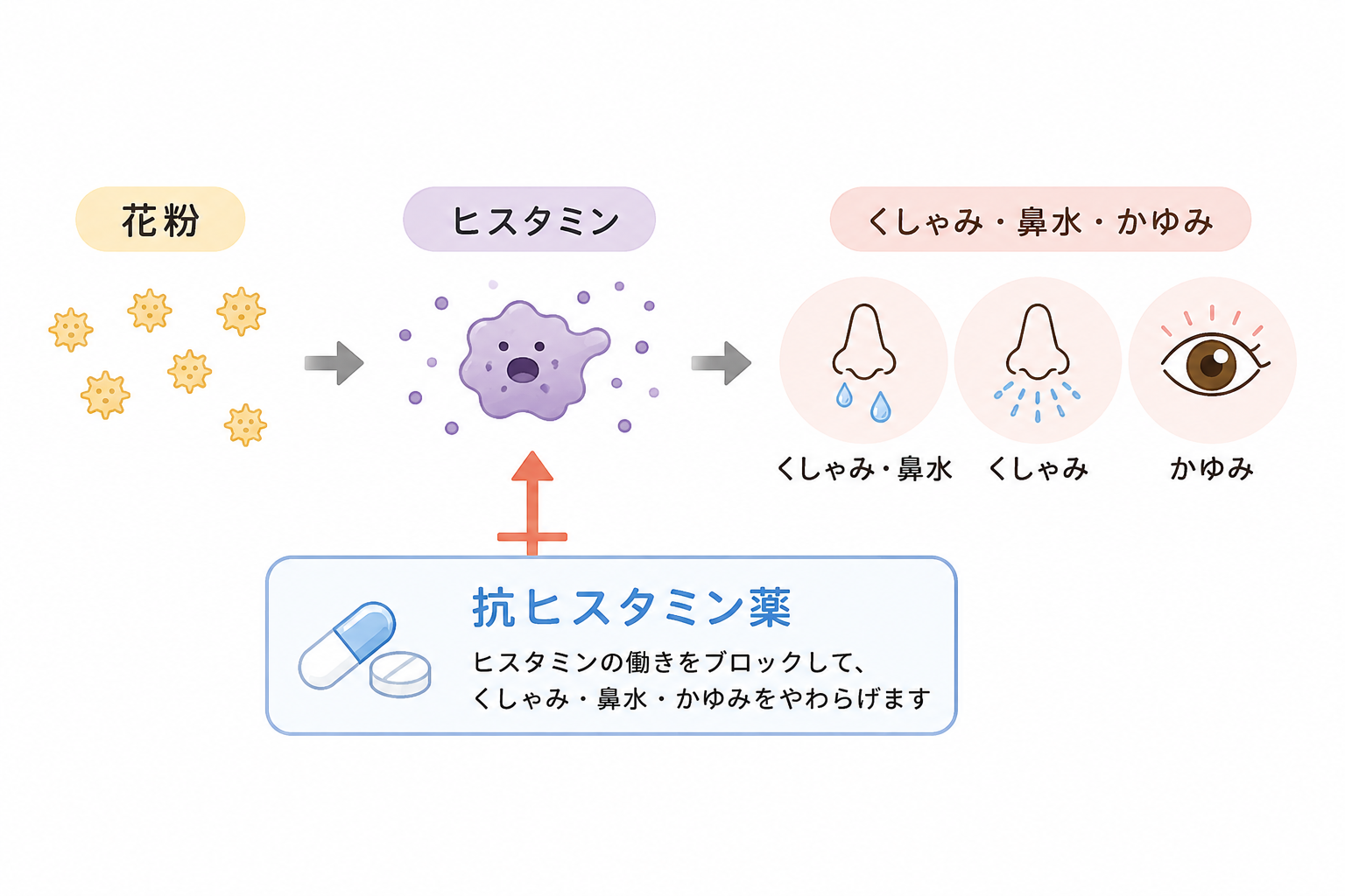 花粉症の薬②.png