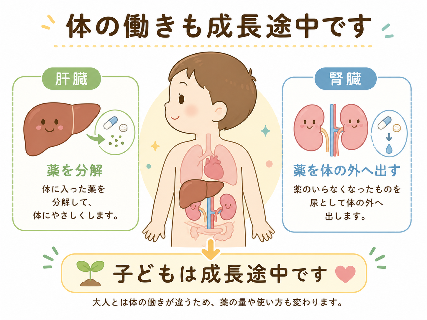 体の働きも成長途中です