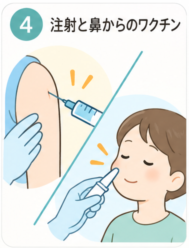 注射のワクチンと鼻から受けるワクチンを比較したイラスト