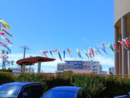 IMG_20260507_135658_1.jpg