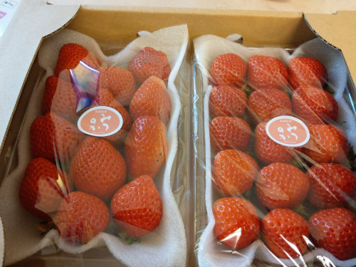 IMAG0980.jpg