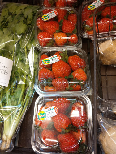 無農薬のいちご入荷しました