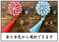 赤　黒　シンプル　猫　臨時休業　お知らせ　A4　横.png