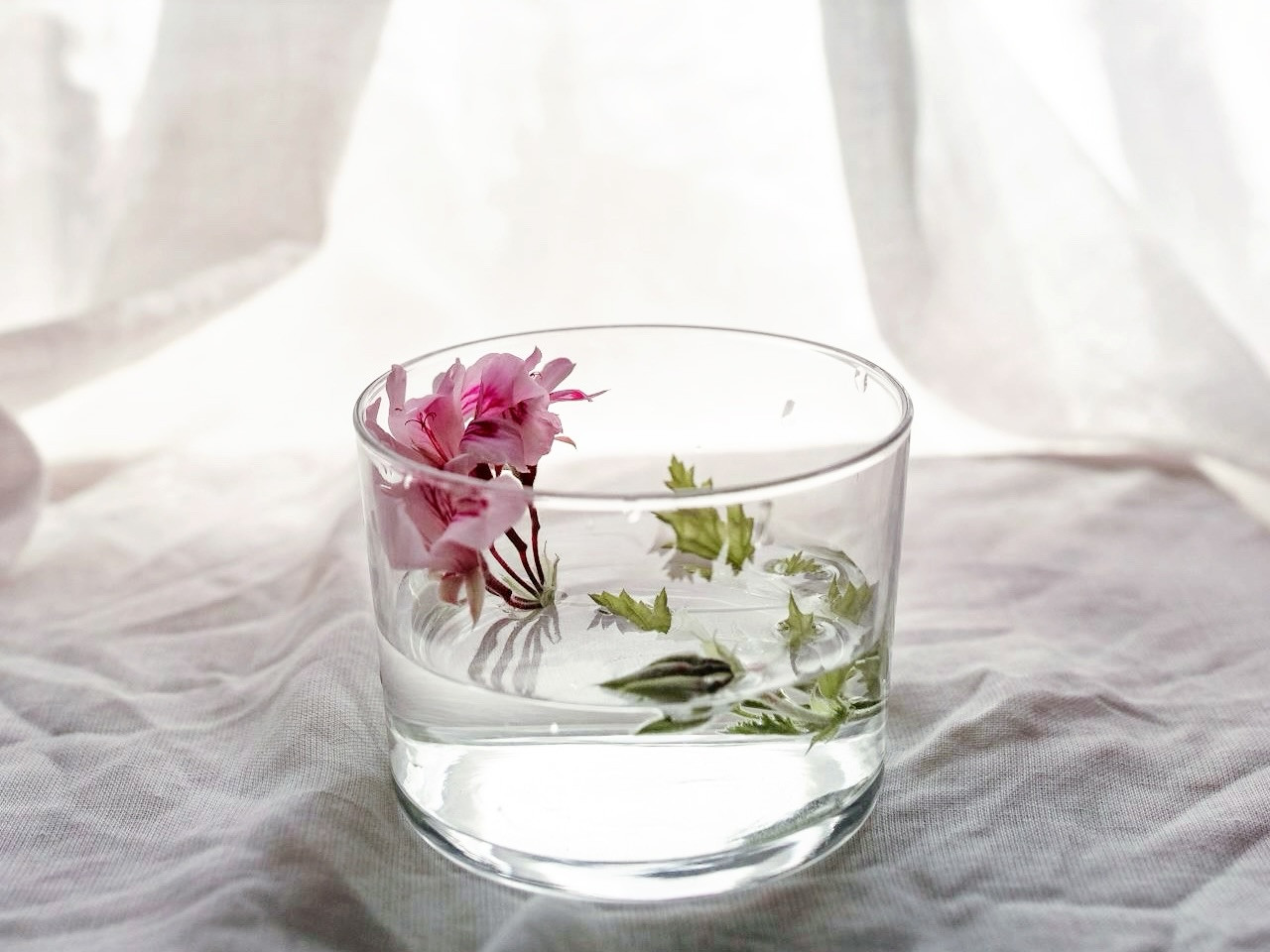 3月のスケジュールとブログをアップしました