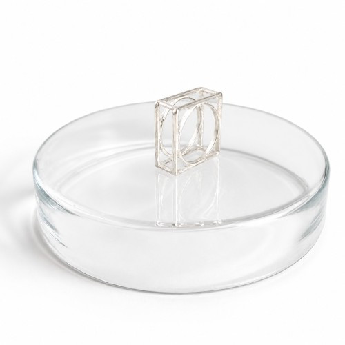 Simple Complexity Ring Pendant