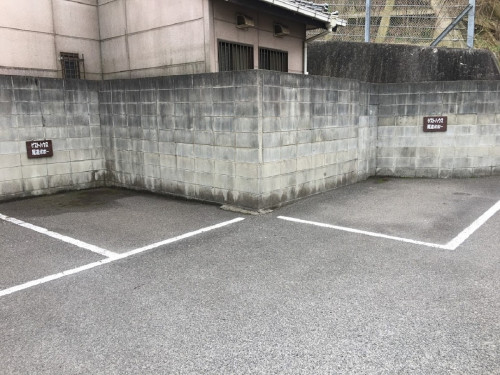 p3.JPG
