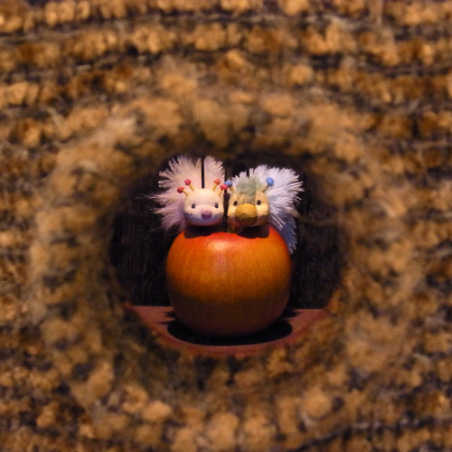 R0010848 (正方形).JPG