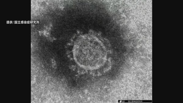 【重要】新型コロナウイルス感染拡大に伴う対応について(4月15日更新)