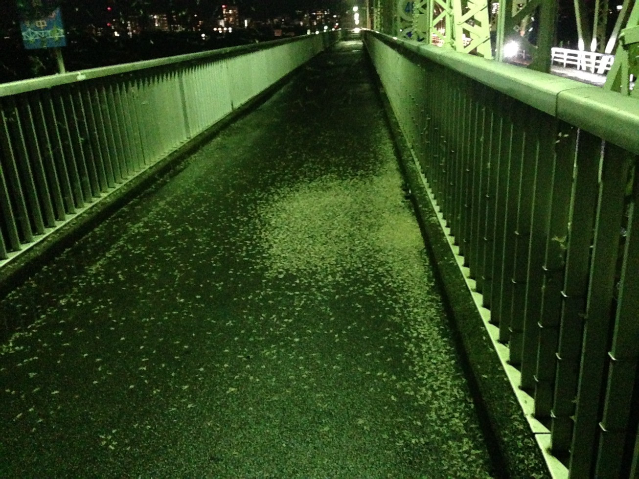 長生橋歩道中央の水銀灯.JPG