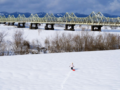 フォトコンテスト入賞作品