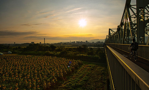 入選 長谷川繁雄