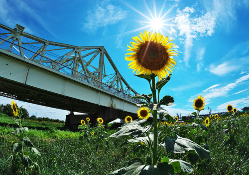 入選 二野宮　健
