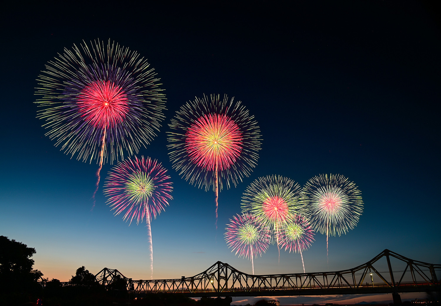 2025入選 星　正太郎「夕暮れの長生橋に咲く」