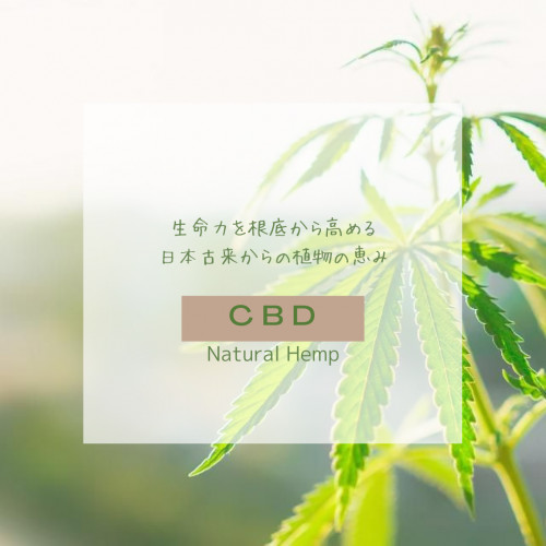 6D43F6A5-96A8-4916-BC81-441B7805ABAD.png