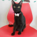 RSCN3237.JPG