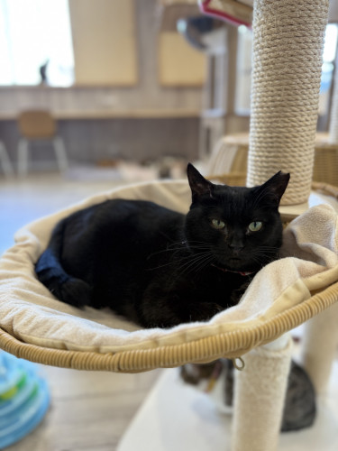 フキノトウちゃん正式譲渡