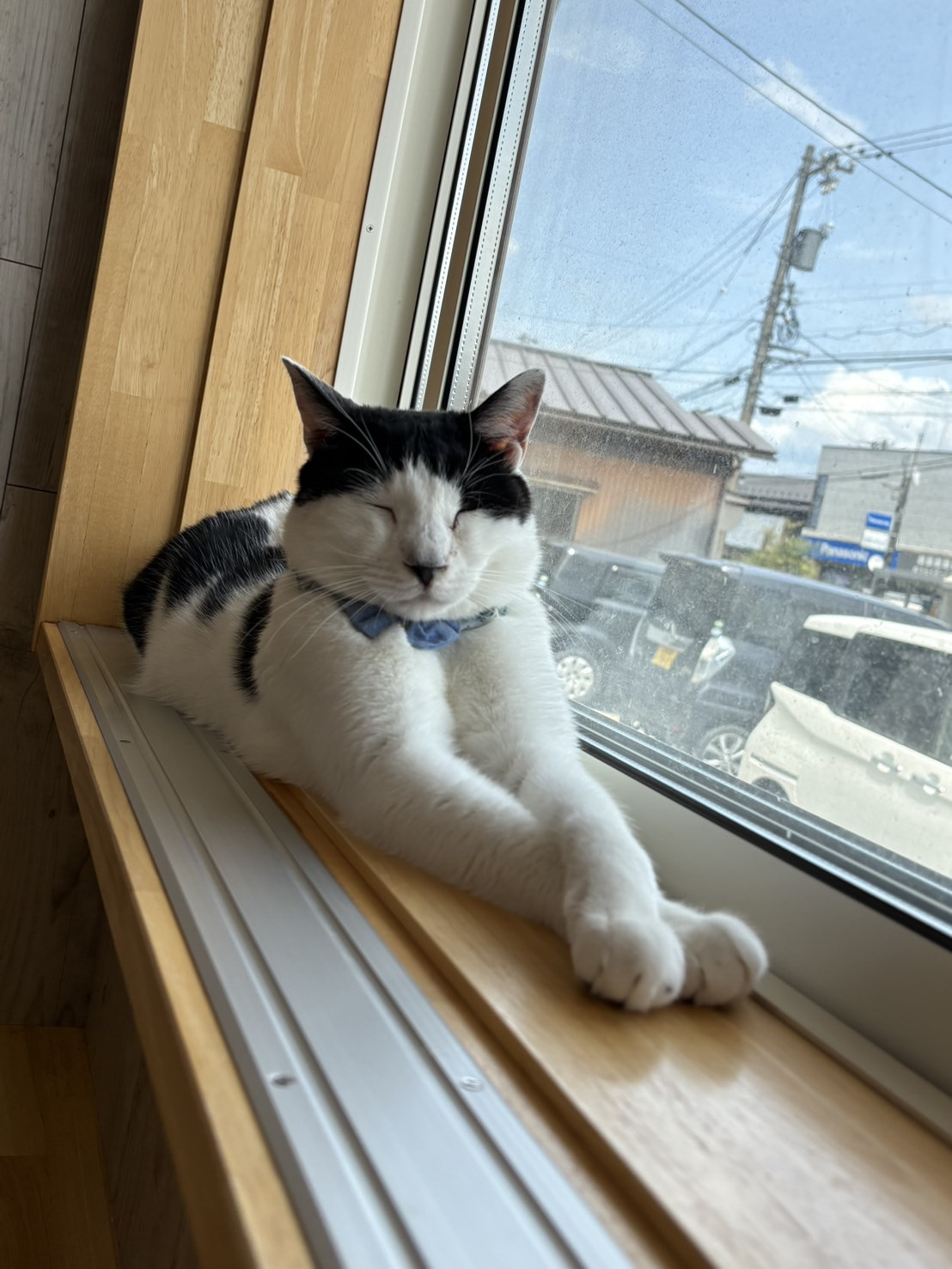 おにぎりくん正式譲渡