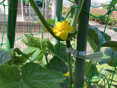 IMG_0986.jpeg