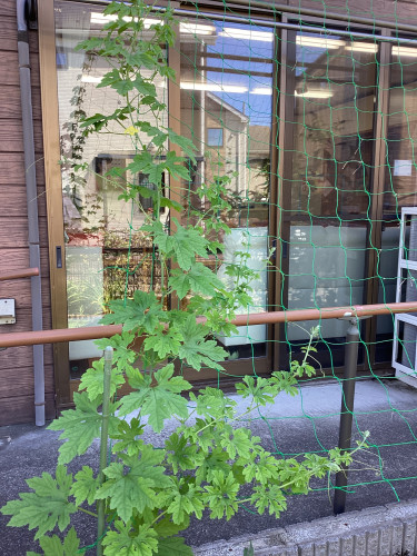 IMG_1057.jpeg
