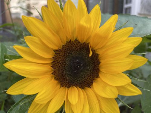 IMG_0842.jpeg