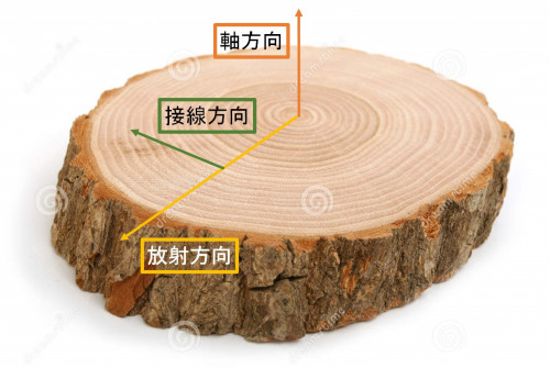 cross-section-tree.jpg
