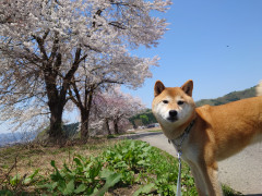 DSC_1158.JPG