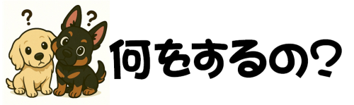 何をするの？.png