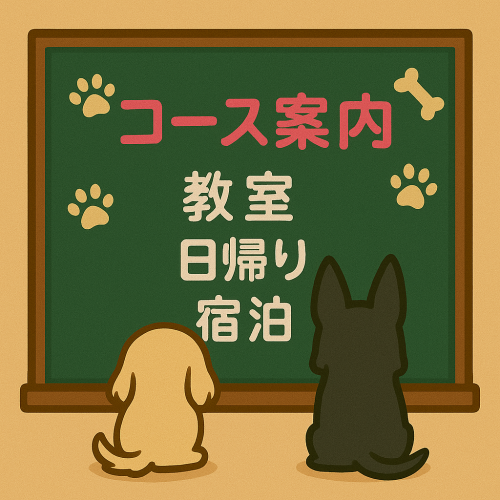 file_00000000df14622f9f5d446e5cfa72bd.png