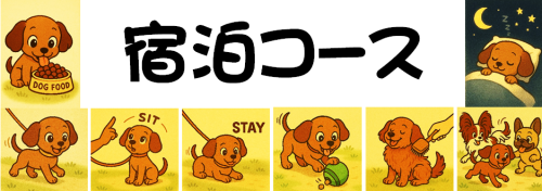 宿泊コース.png
