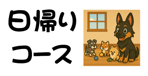 日帰りコース.png