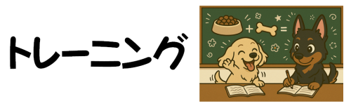 tore-ninngu 3.png