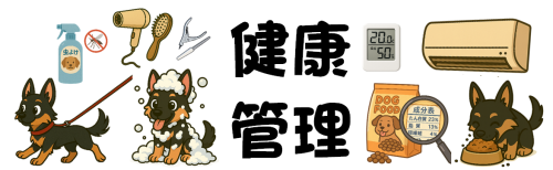 健康管理.png