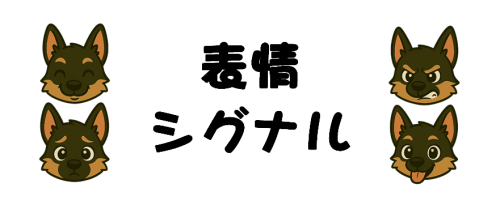 シグナル.png
