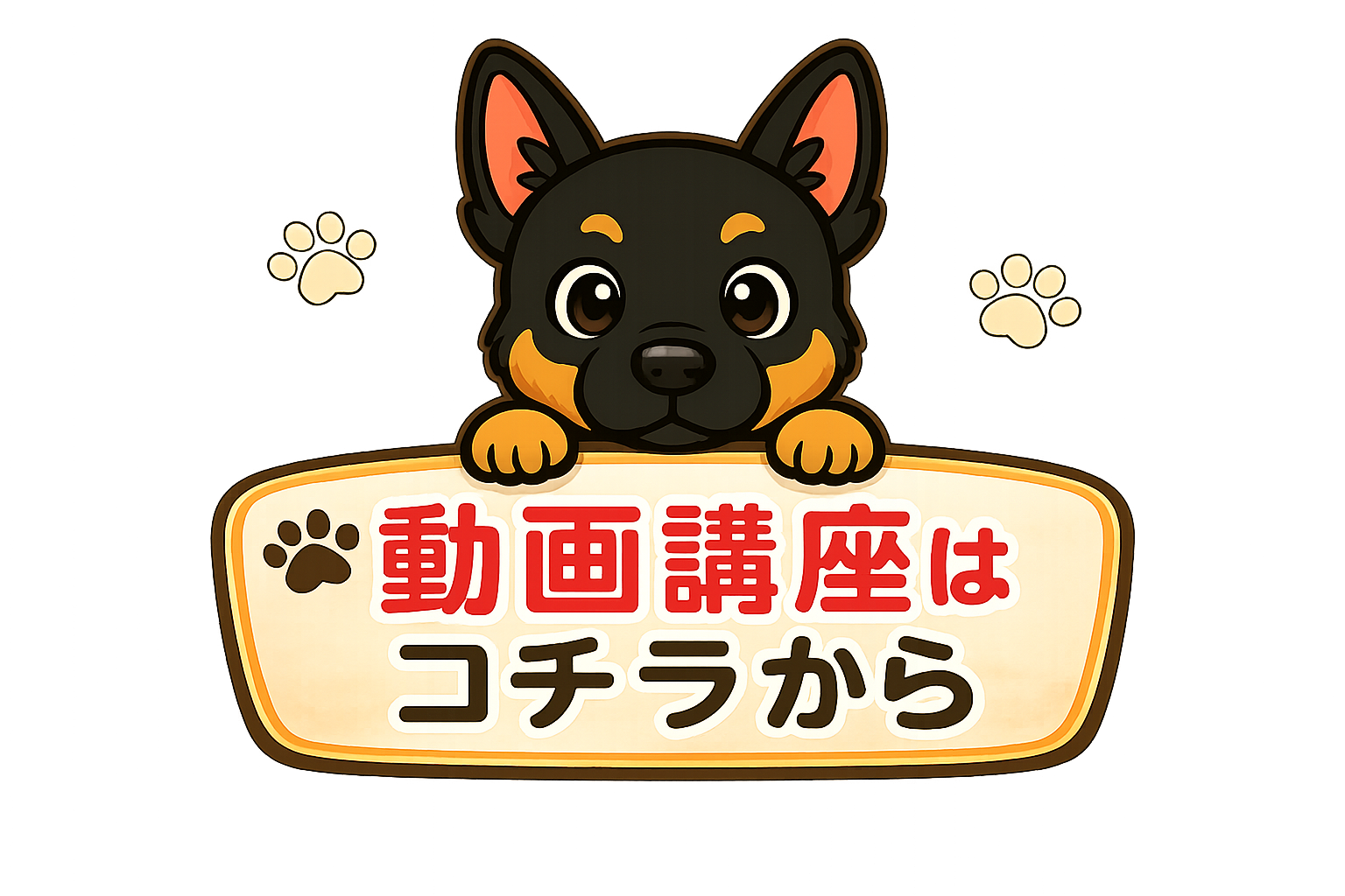 動画講座はこちらから